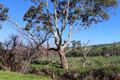 Property photo of 1286 Bull Creek Road Ashbourne SA 5157