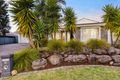 Property photo of 41 Hillcott Avenue Wynn Vale SA 5127