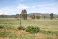 Property photo of 30 Back Limbri Road Kootingal NSW 2352