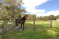 Property photo of 81 Conductor Retreat Mariginiup WA 6078
