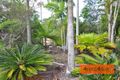 Property photo of 7 Roebuck Street Cooloola Cove QLD 4580