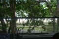 Property photo of 16/111-117 Williams Esplanade Palm Cove QLD 4879