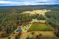 Property photo of 392 Maras Creek Road Utungun NSW 2447
