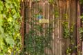 Property photo of 3/19 Philippa Court Viewbank VIC 3084