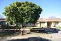 Property photo of 1/5 Hall Street Fullarton SA 5063