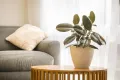 Property photo of 71 Surf Circle Tura Beach NSW 2548