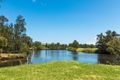 Property photo of 417 Back Forest Road Far Meadow NSW 2535