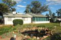 Property photo of 369 Tuppiari Road Jacks Creek NSW 2390