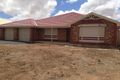Property photo of 41 Stollberg Road Freeling SA 5372