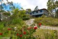 Property photo of 225 Wrenswood Drive Quoiba TAS 7310