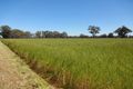 Property photo of Foster Road Boorhaman VIC 3678