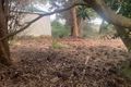 Property photo of 2 Buz Street Sisters Beach TAS 7321