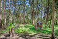Property photo of 12 Kulla Place Bonny Hills NSW 2445