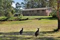 Property photo of 38 Lake Innes Drive Lake Innes NSW 2446