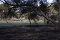 Property photo of 27 Bottlecreek Place Dumberning WA 6312