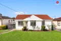 Property photo of 14 Lambert Place Mount Pritchard NSW 2170