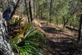 Property photo of 703 Haven Road Upper Brookfield QLD 4069