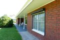 Property photo of 70 Naracoorte Road Bordertown SA 5268