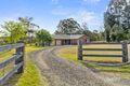 Property photo of 367 Bridgman Road Obanvale NSW 2330