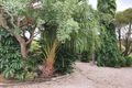 Property photo of 38 Cole Street Ayr QLD 4807