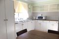 Property photo of 50 Kenibea Avenue Kahibah NSW 2290