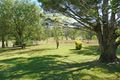 Property photo of 1145 Gloucester Tops Road Berrico NSW 2422
