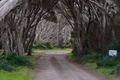 Property photo of 9 McDonald Street Indented Head VIC 3223