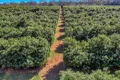 Property photo of LOT 3 Pacific Highway Eungai Creek NSW 2441