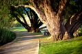 Property photo of 12 Sandalwood Drive Margaret River WA 6285