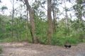 Property photo of 3 Dawson Street Somersby NSW 2250