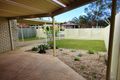 Property photo of 2/6 Allambie Court Buddina QLD 4575