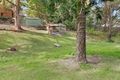 Property photo of 52 Graham Street Kendall NSW 2439