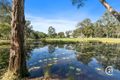 Property photo of 155 Seib Road Eumundi QLD 4562