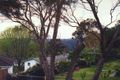 Property photo of 18 Davidson Avenue Forestville NSW 2087