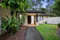 Property photo of 19 Tuckeroo Place Reedy Creek QLD 4227