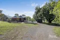 Property photo of 60 Jackson Street Long Gully VIC 3550