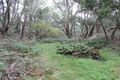 Property photo of 929 Little River Road Braidwood NSW 2622