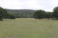 Property photo of 929 Little River Road Braidwood NSW 2622