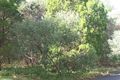 Property photo of 4 Brig Street Amity QLD 4183
