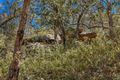 Property photo of 187D Upper Colo Road Wheeny Creek NSW 2758