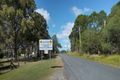 Property photo of 145 Palomino Road Tamborine QLD 4270