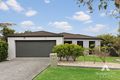 Property photo of 20 Cyperus Crescent Carseldine QLD 4034