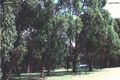 Property photo of 37 Mulloka Esplanade Wurtulla QLD 4575