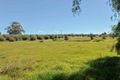 Property photo of LOT 8/15 Sargeant Street Thoona VIC 3726
