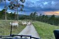 Property photo of 6312 Brisbane Valley Highway Toogoolawah QLD 4313