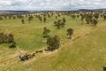 Property photo of 91 Gill Road Walcha NSW 2354