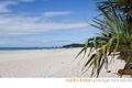 Property photo of 8/2 Palm Beach Avenue Palm Beach QLD 4221