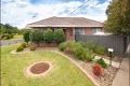 Property photo of 49 Community Street Shepparton VIC 3630