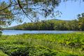 Property photo of 1258 Riverway Drive Kelso QLD 4815