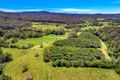 Property photo of 174 Mitchells Road Valla NSW 2448